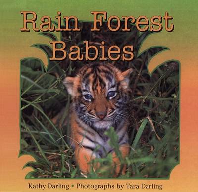 Book cover for Rain Forest Babies