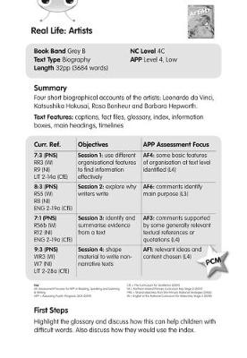 Cover of BC NF Grey B/3B Artists Guided Reading Card