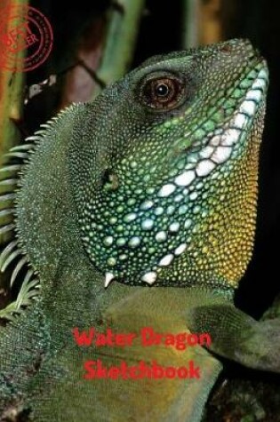 Cover of Water Dragon Sketchbook