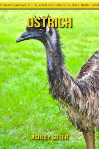 Cover of Ostrich