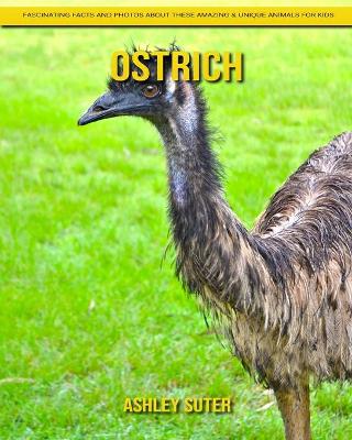 Book cover for Ostrich