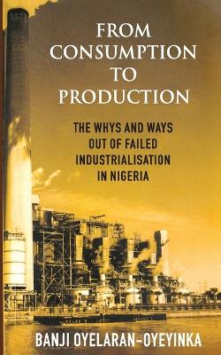 Book cover for From Consumption to Production