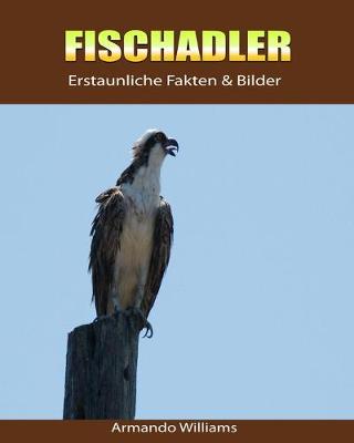 Book cover for Fischadler