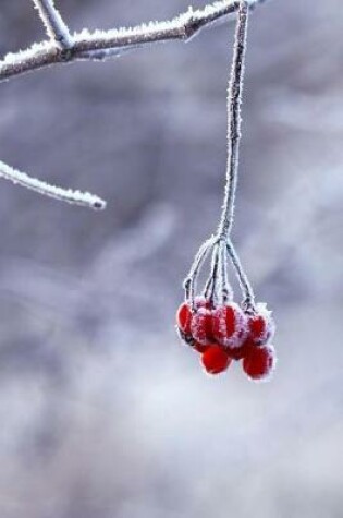 Cover of Frosty Red Berries on a Branch in the Winter Journal