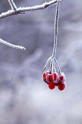 Book cover for Frosty Red Berries on a Branch in the Winter Journal