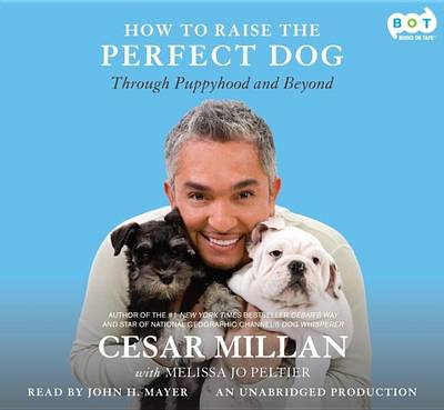 Book cover for How to Raise the Perfect Dog