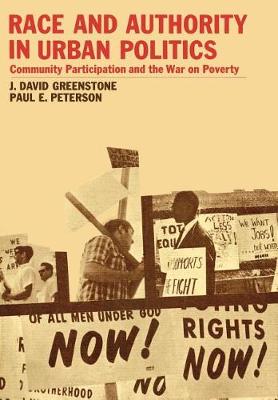 Cover of Race and Authority in Urban Politics