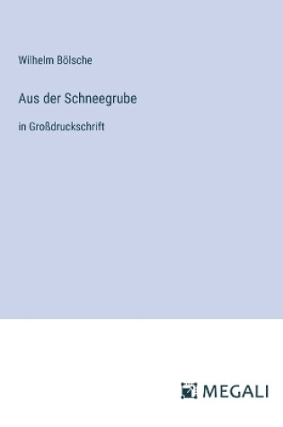 Cover of Aus der Schneegrube