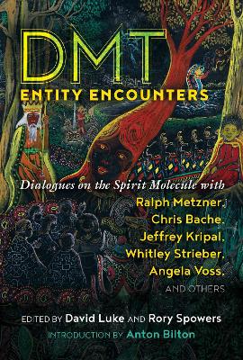 Cover of DMT Entity Encounters