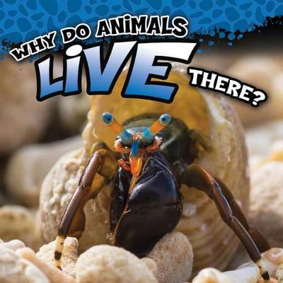 Book cover for Why Do Animals Live There?