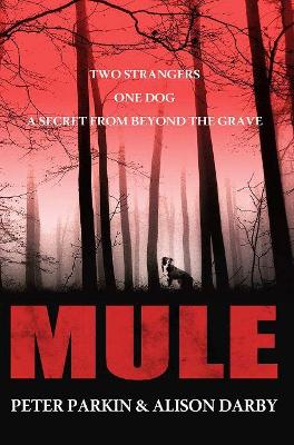 Book cover for Mule