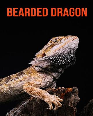 Book cover for Bearded Dragon