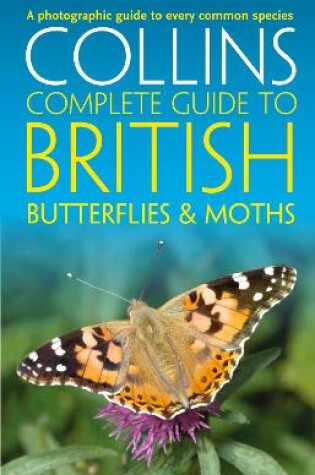Cover of British Butterflies and Moths
