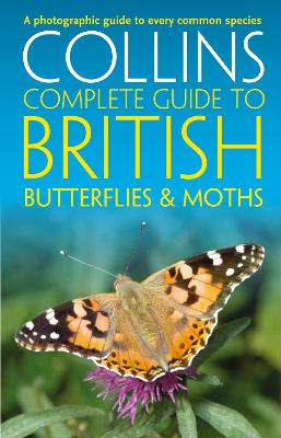 Cover of British Butterflies and Moths