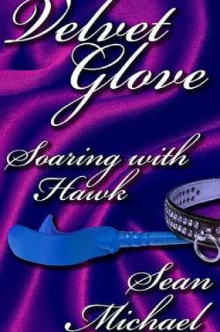 Cover of Soaring with Hawk, a Velvet Glove Story