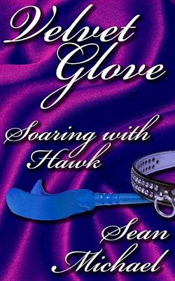 Book cover for Soaring with Hawk, a Velvet Glove Story