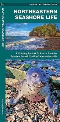 Book cover for Northeastern Seashore Life