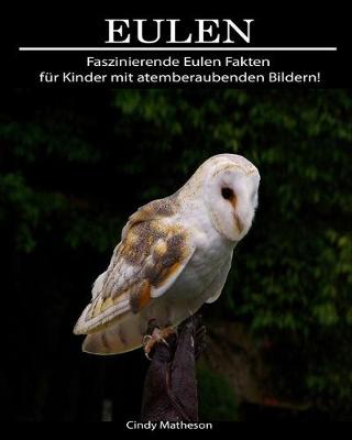 Book cover for Eulen