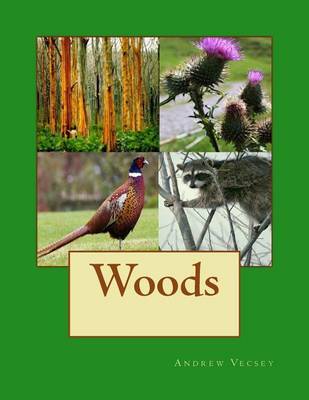 Book cover for Woods