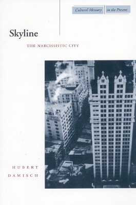 Book cover for Skyline