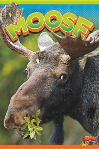 Cover of Moose