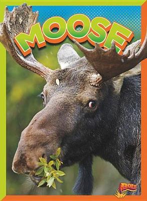 Book cover for Moose