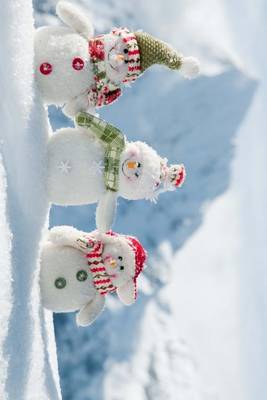 Book cover for A Happy Snowman Family