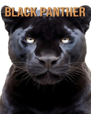 Book cover for Black Panther