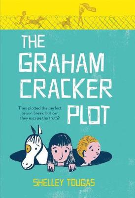 Book cover for The Graham Cracker Plot