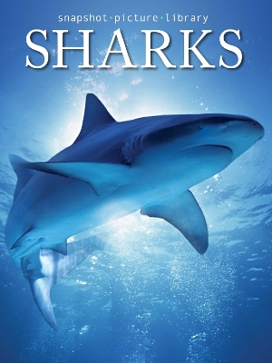 Book cover for Sharks