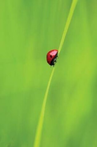 Cover of Ladybug and a Blade of Grass - Lined Notebook with Margins