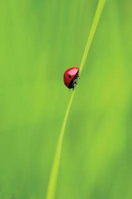 Book cover for Ladybug and a Blade of Grass - Lined Notebook with Margins