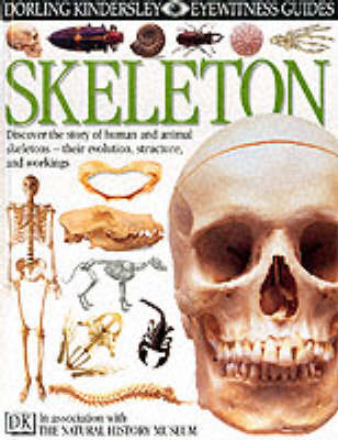 Book cover for DK Eyewitness Guides:  Skeleton