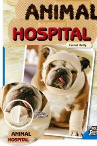 Cover of Animal Hospital