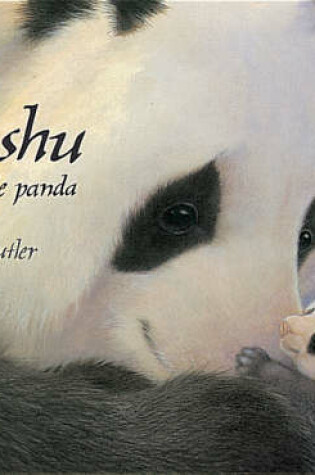 Cover of Pi-Shu The Little Panda