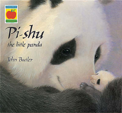 Book cover for Pi-Shu The Little Panda