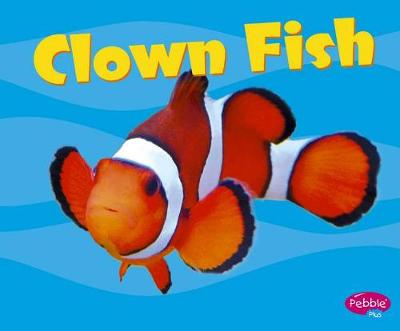 Book cover for Clown Fish (Under the Sea)