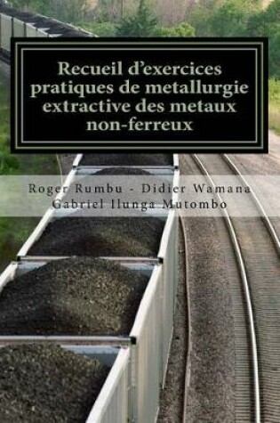 Cover of Recueil d exercices pratiques de metallurgie extractive des metaux non-ferreux