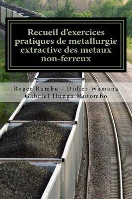 Book cover for Recueil d exercices pratiques de metallurgie extractive des metaux non-ferreux