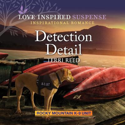 Book cover for Detection Detail