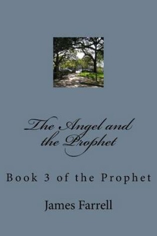 Cover of The Angel and the Prophet
