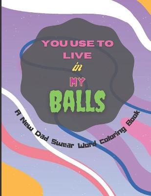 Book cover for You Use To Live in My Balls A New Dad Swear Word Coloring Book