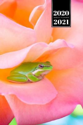 Book cover for Frog Toad Week Planner Weekly Organizer Calendar 2020 / 2021 - Pink Rose