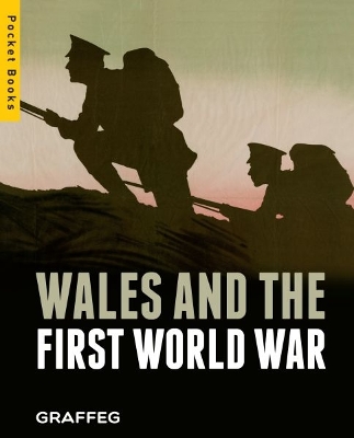 Book cover for Wales and the First World War