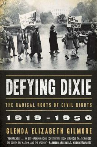 Cover of Defying Dixie