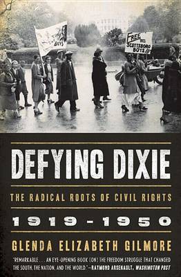 Book cover for Defying Dixie