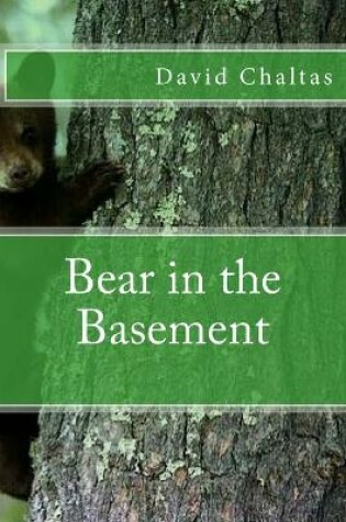 Cover of Bear in the Basement