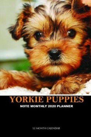 Cover of Yorkie Puppies Note Monthly 2020 Planner 12 Month Calendar