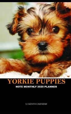 Book cover for Yorkie Puppies Note Monthly 2020 Planner 12 Month Calendar