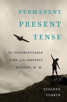 Book cover for Permanent Present Tense